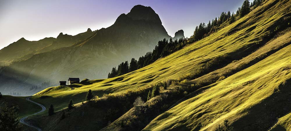 landscape – LEARN